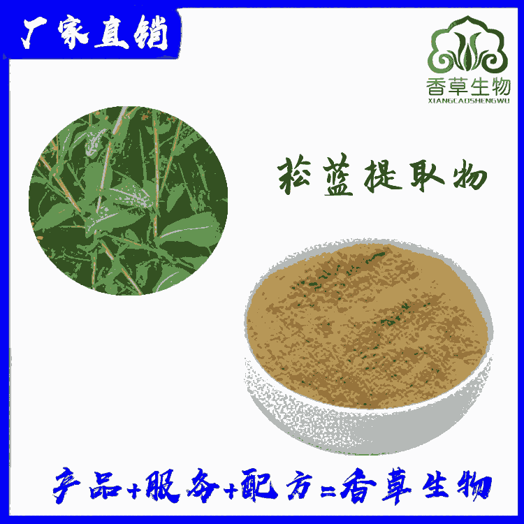 菘藍粉供應(yīng) 菘藍提取物 速溶粉 菘藍噴霧干燥粉