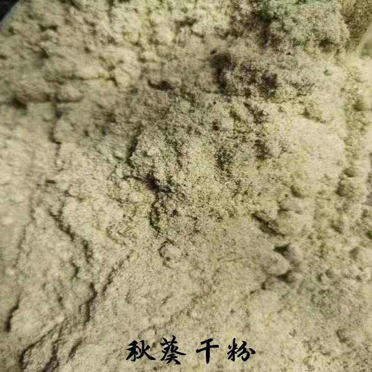 秋葵干粉供應(yīng) 秋葵提取物廠家 秋葵粉 水溶秋葵粉