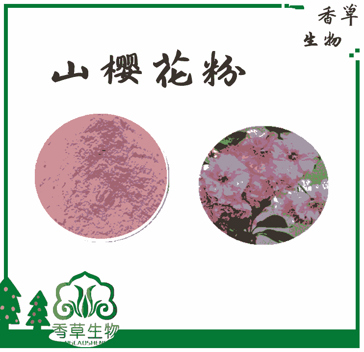 山櫻花粉 山櫻花浸膏粉 山櫻花速溶粉 山櫻花提取物