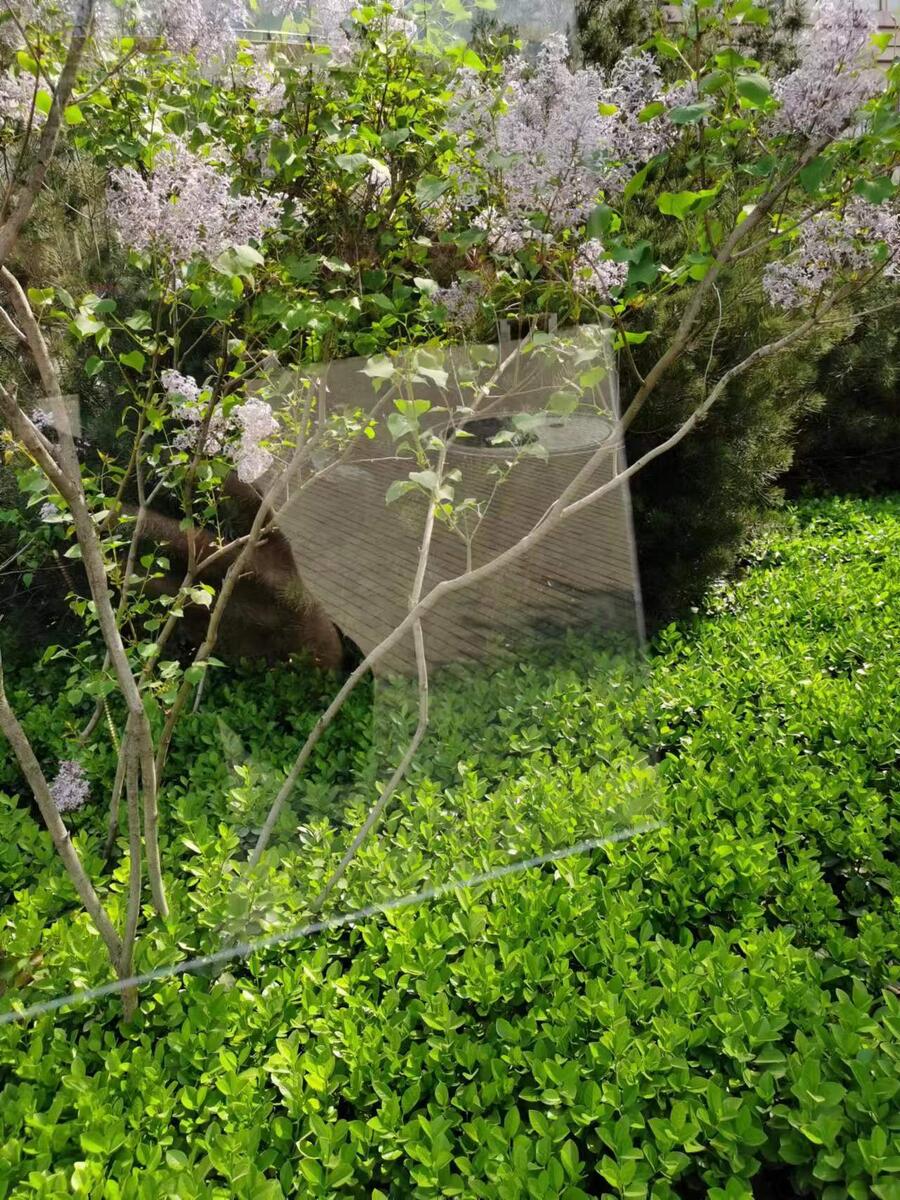 塑料透明板棗莊耐力板抗沖擊隔斷透光板