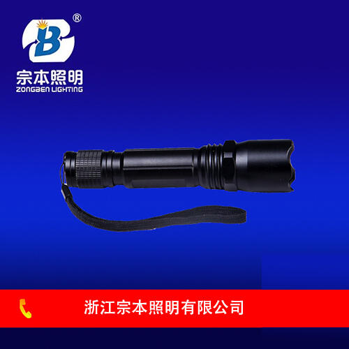 JW7300B微型防爆電筒☆JW7300B歡迎您來(lái)電咨詢！