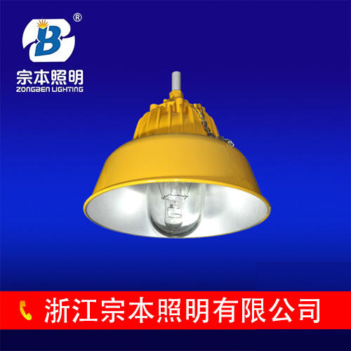 BPC8700防爆平臺燈，鐵路、電廠照明，BPC8700