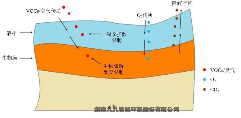 江蘇 工業(yè)污水廢氣的惡臭治理技術(shù)