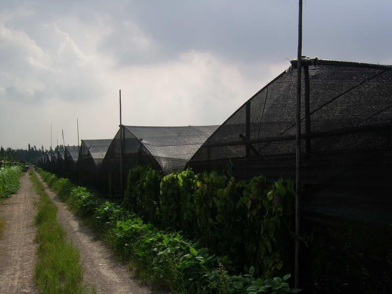 靜海夏季防曬遮陽網(wǎng)尺寸