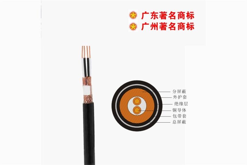 珠江花環(huán)_DJYPVP計算機電纜_電力電纜廠家