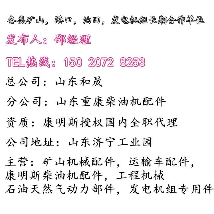 俄羅斯出口缸套3948095QSL密封圈3800328