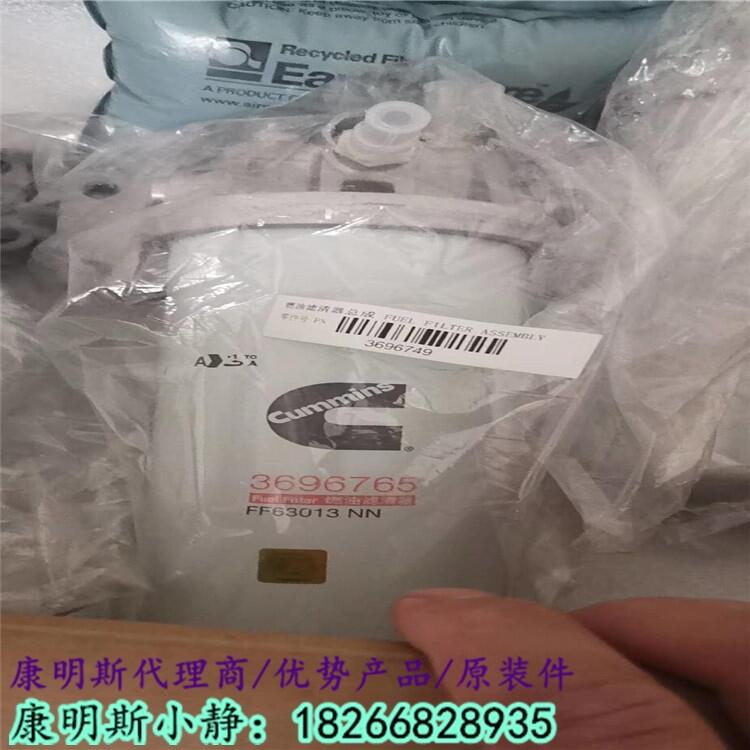 ?？礗SG/ISX柴濾FF63013（3696765F）總成