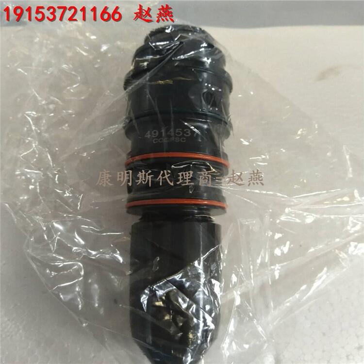 NTA855-G2發(fā)動(dòng)機(jī)噴油器3047973 重慶康明斯噴油器