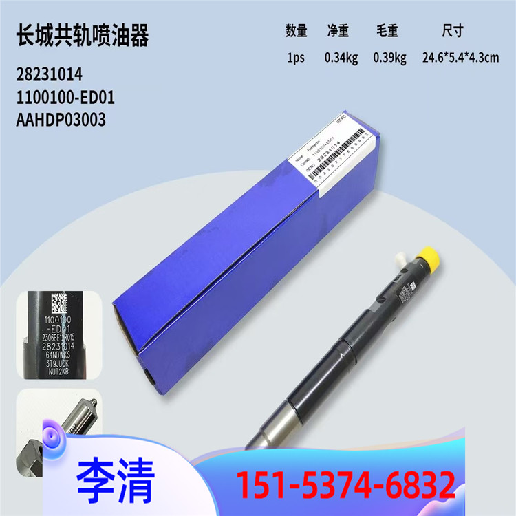 德爾福噴油器42053677檢測  DelphI燃油系統(tǒng)代理商