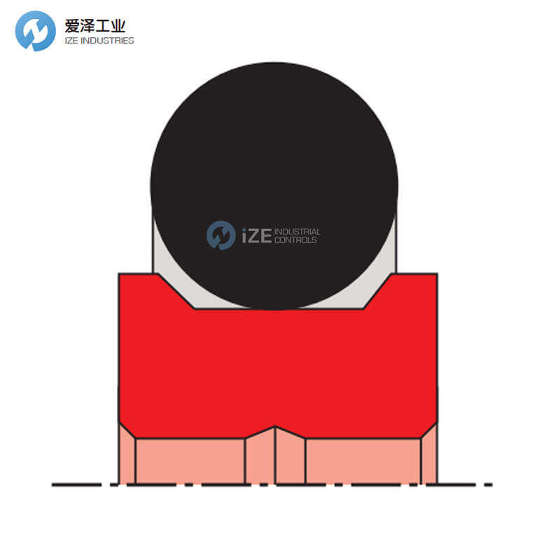 ECOMA旋轉(zhuǎn)密封R9-SO 50/60/4 UHMW-PE/NBR