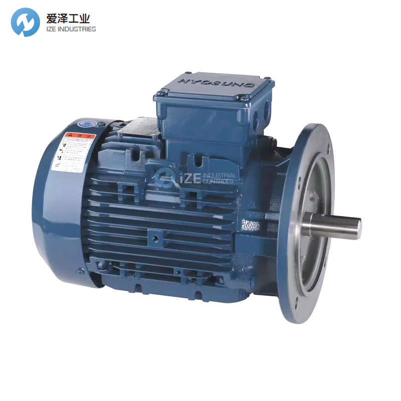 HYOSUNG電機(jī)TEFC 5.5KW 380V 50HZ 132S 4P