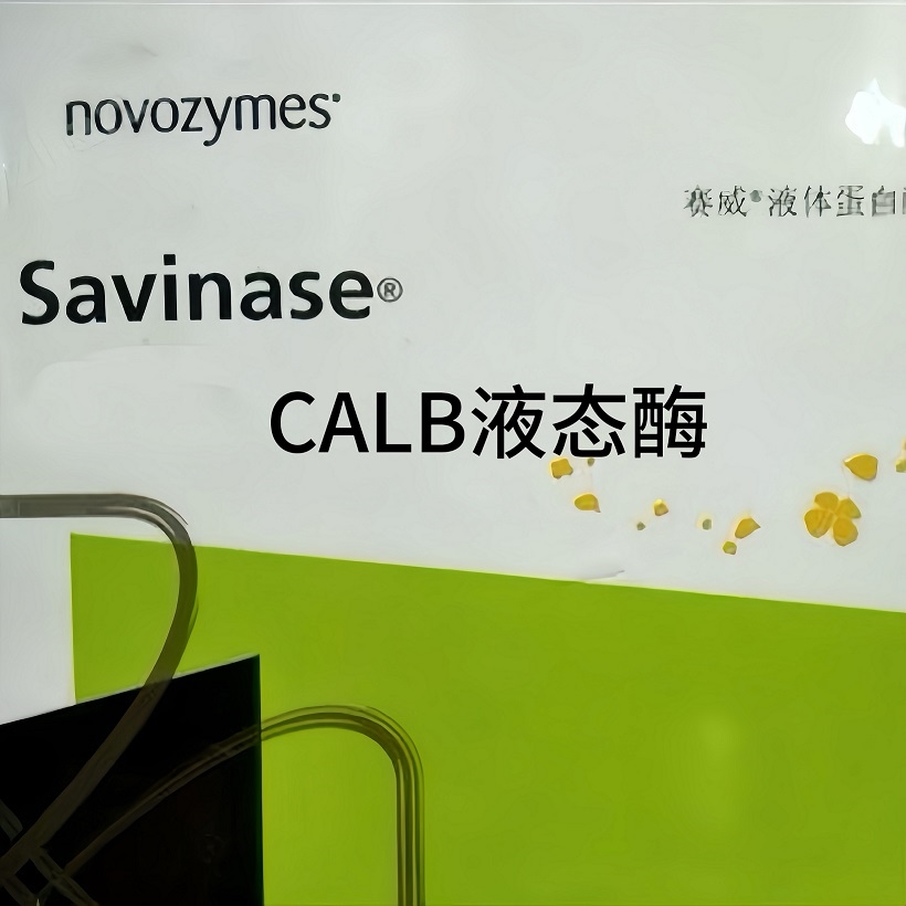 諾維信 Novozyme Lipozyme CALB L 脂肪酶