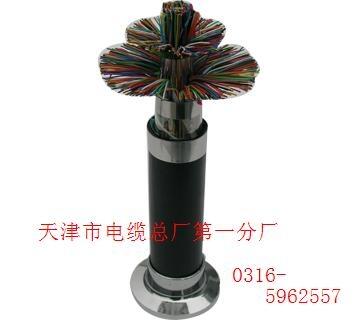 煤礦用控制電纜 MKVVR 0.5-10mm2,2-61芯