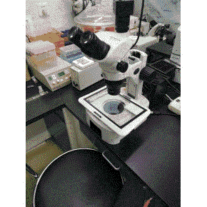 超低溫冰箱LM BASIC 102446 高溫計(jì)DP45水平測(cè)定儀 扭矩倍增器