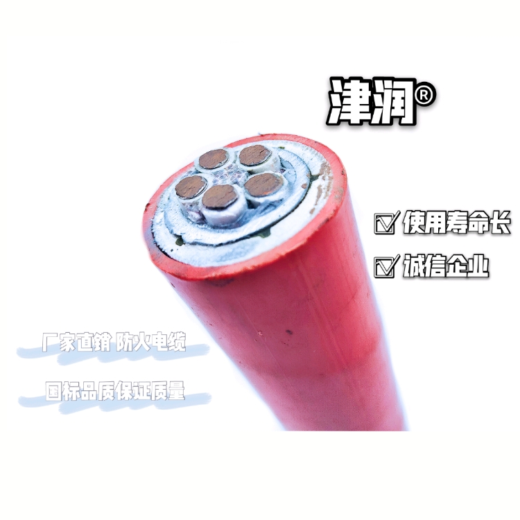 天聯(lián)牌DJYVRP 16*1.5阻燃鎧裝電纜DJYPVRP22儀表電纜