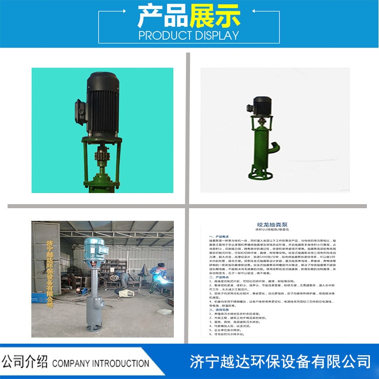 廠家直銷絞龍式抽糞泵立式污水處理