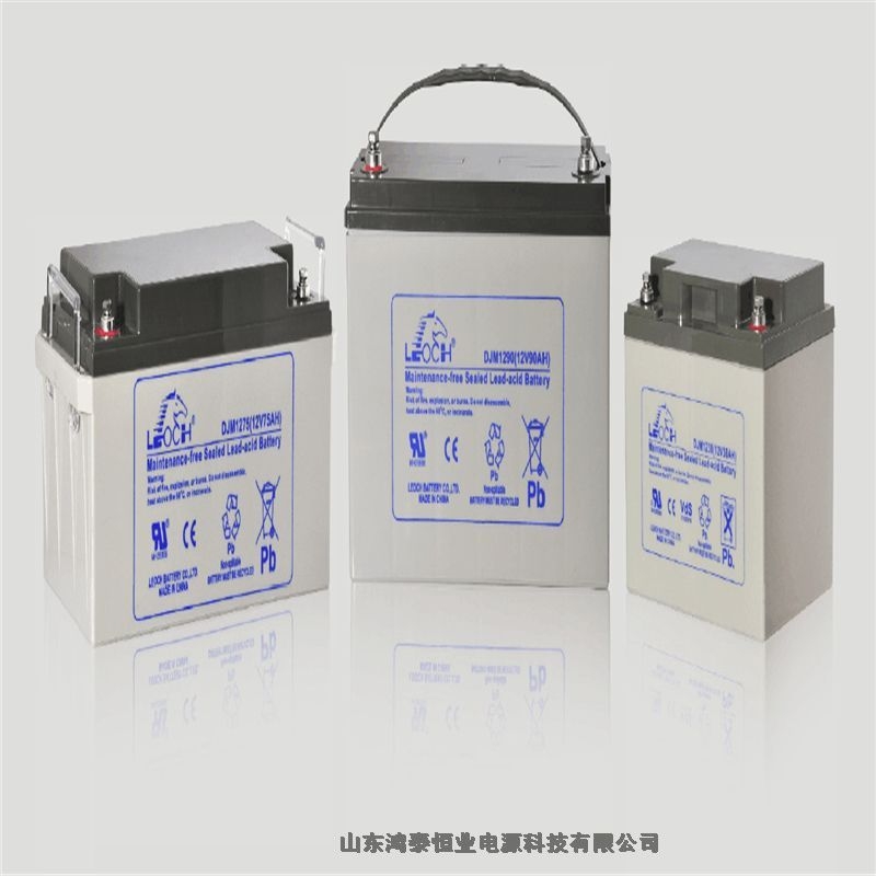 LEOCH理士蓄電池DJW12-24 12V24AH品質(zhì)考驗