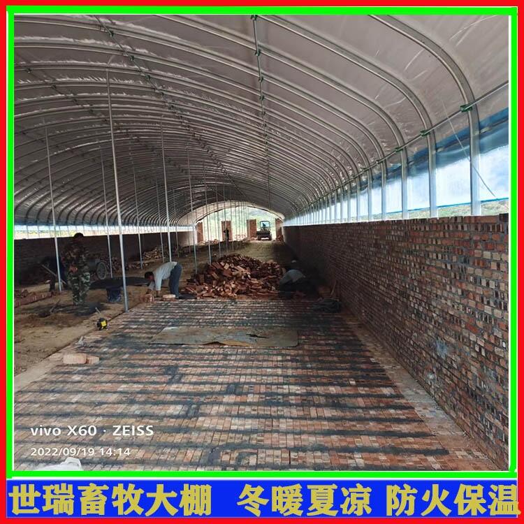 大型牛舍大棚建設 肉牛養(yǎng)殖大棚搭建 牛棚施工安裝