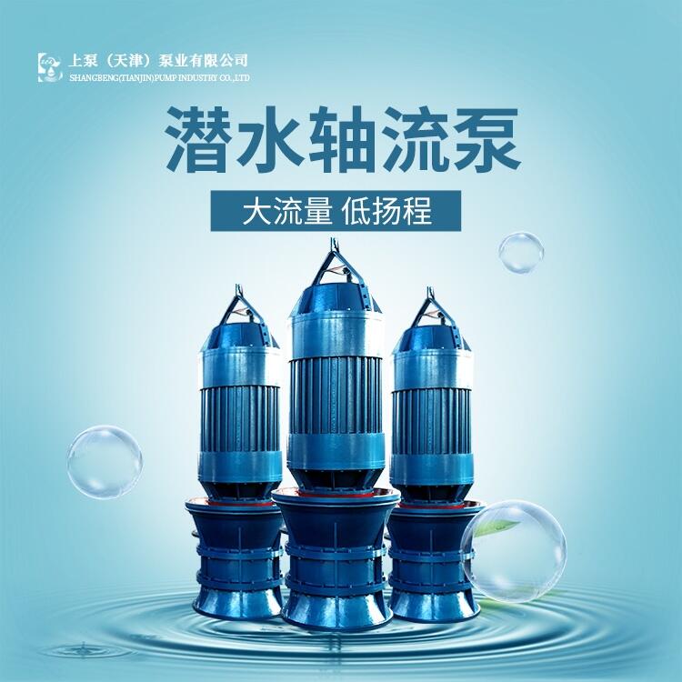 qzb潛水軸流泵制造企業(yè) 潛水軸流泵品牌廠家推薦