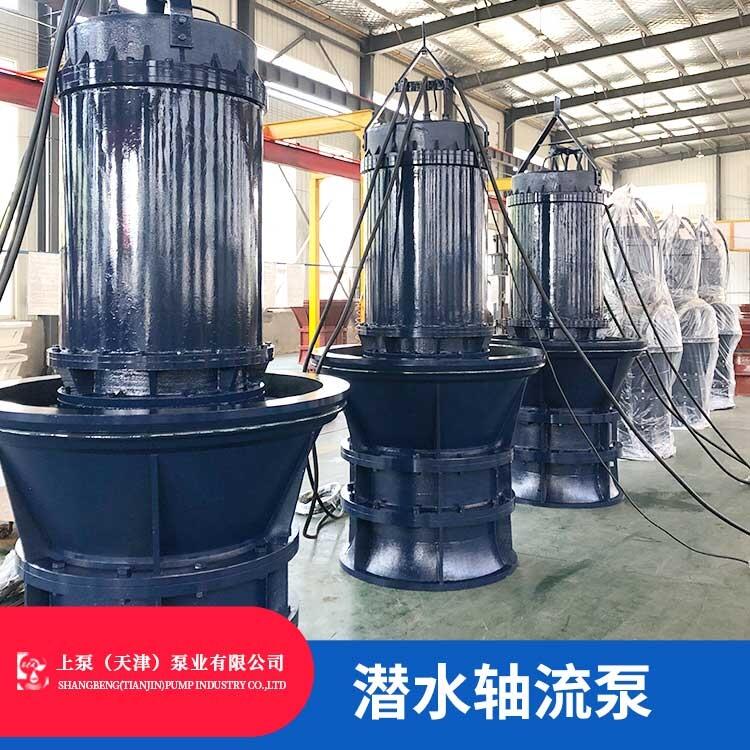 潛水軸流泵電機技術(shù) 潛水軸流泵的可行性報告