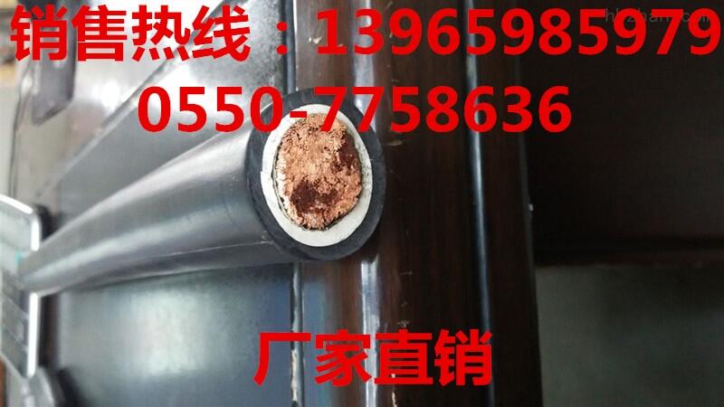 重慶市H07BN4-F-1*16廠(chǎng)家直銷(xiāo)