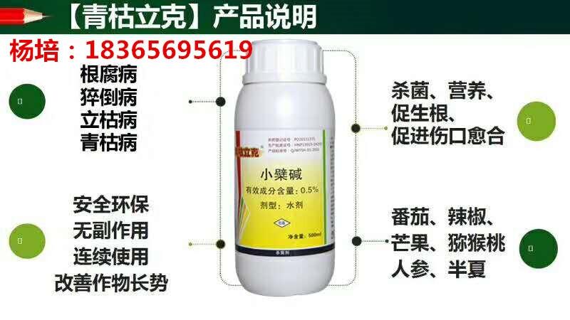 番茄莖基腐病防治專用殺菌劑 生物農(nóng)藥青枯立克上噴下灌廠家直供