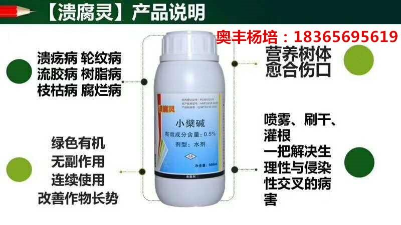 瓜萎蔓枯病用什么藥效果好 看看這位安徽老農(nóng)怎么說