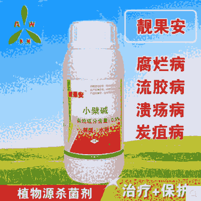 芒果細(xì)菌性角斑病的防治