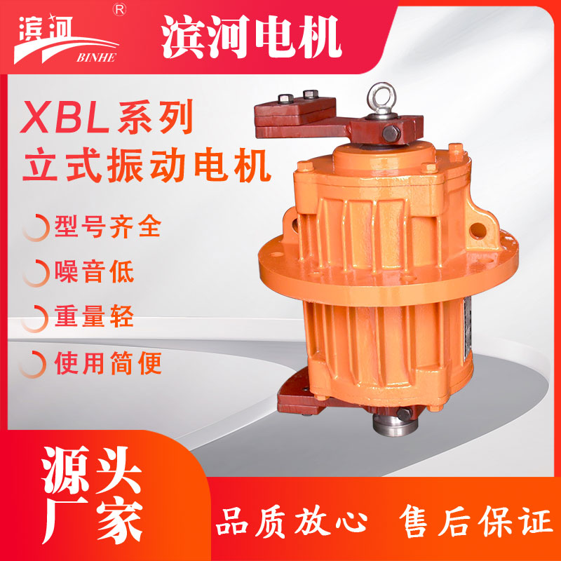 XBL系列立式法蘭式振動電機(jī)新鄉(xiāng)濱河電機(jī)