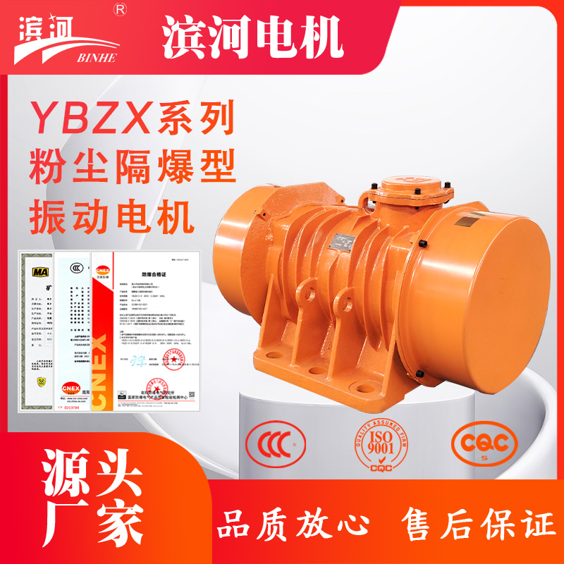 YBZX系列隔爆型三相異步振動(dòng)電機(jī)