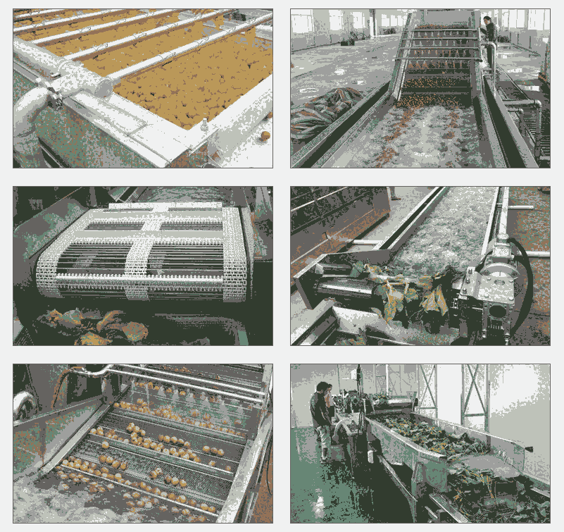 果蔬清洗流水線全套設(shè)備及使用說(shuō)明  果蔬加工設(shè)備生產(chǎn)廠家