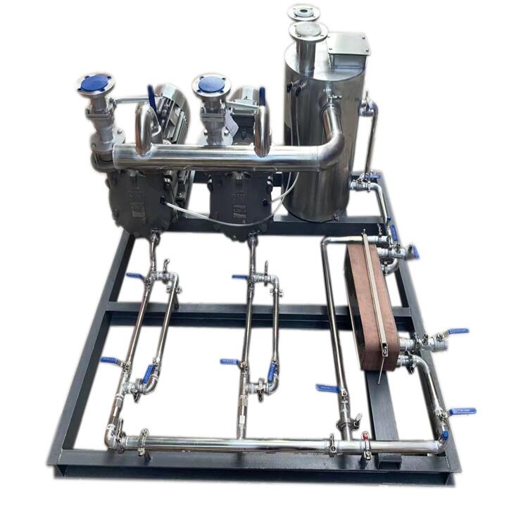 FLOWSERVE福斯真空泵機組化工水環(huán) 機組廠價定制真空系統(tǒng)