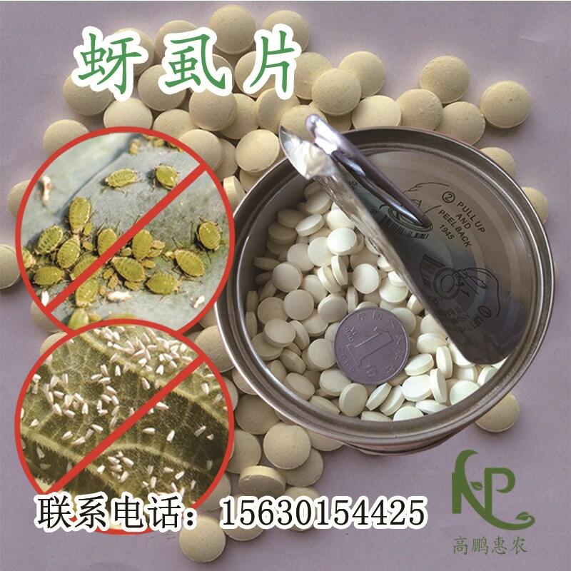 1000片/瓶高抗薊馬移栽片批發(fā)價(jià)格