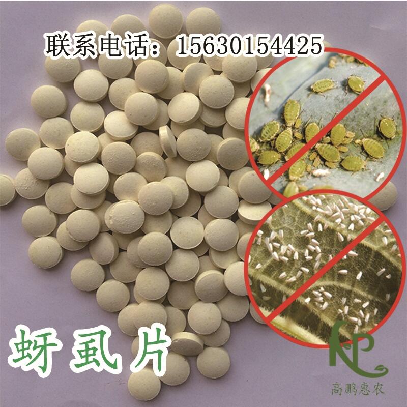 2000片/瓶煙草片專用一株一片專抗蚜蟲