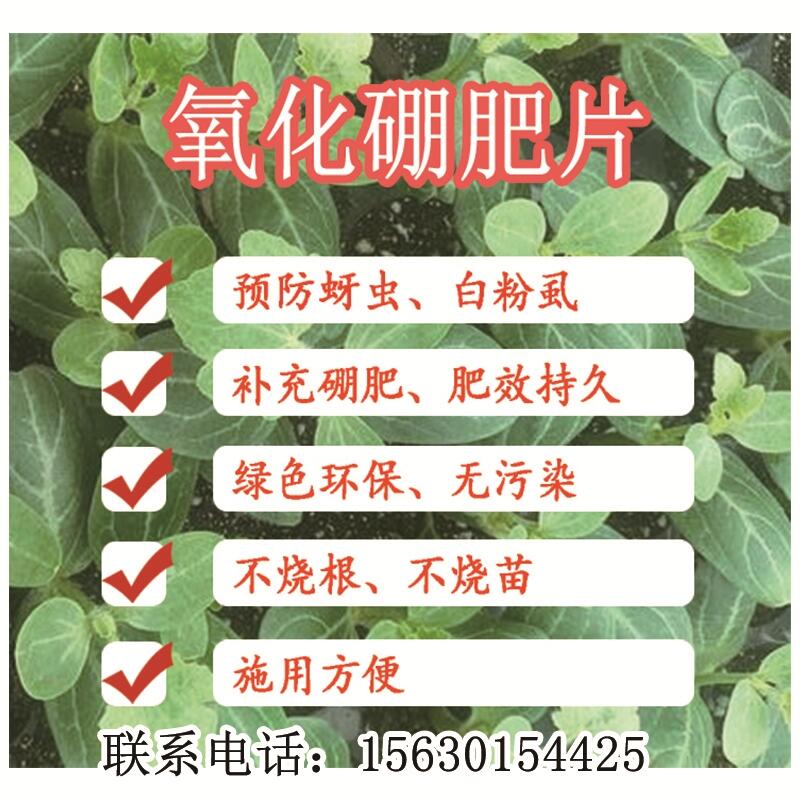 1000片/瓶防治草莓蚜蟲移栽片促銷價(jià)格