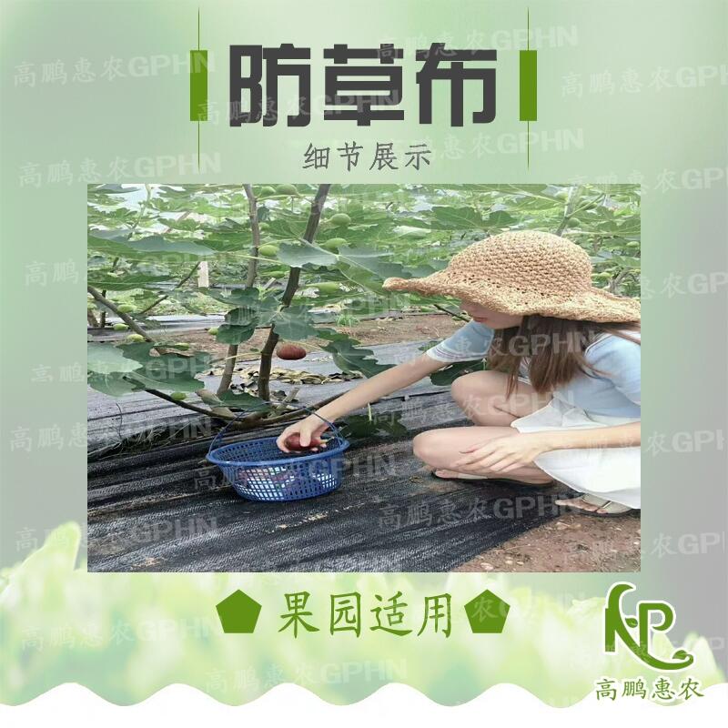 梨樹防草地布多少錢一平