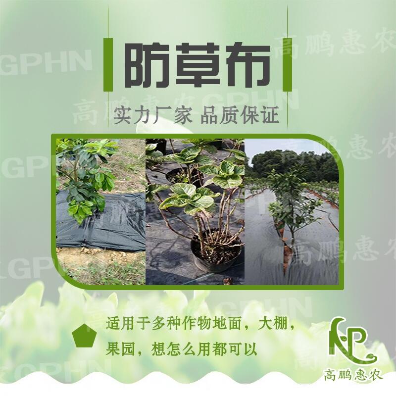 葡萄防草布使用效果好