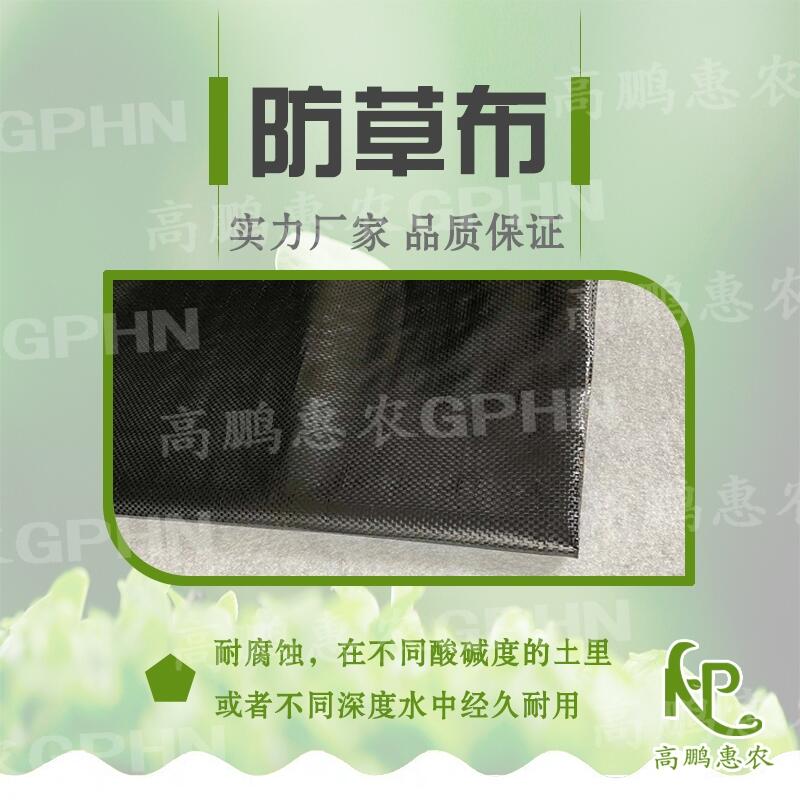 大棚遮草布使用效果好