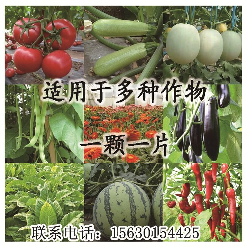 1000片/瓶防治西瓜蚜蟲移栽片促銷價(jià)格