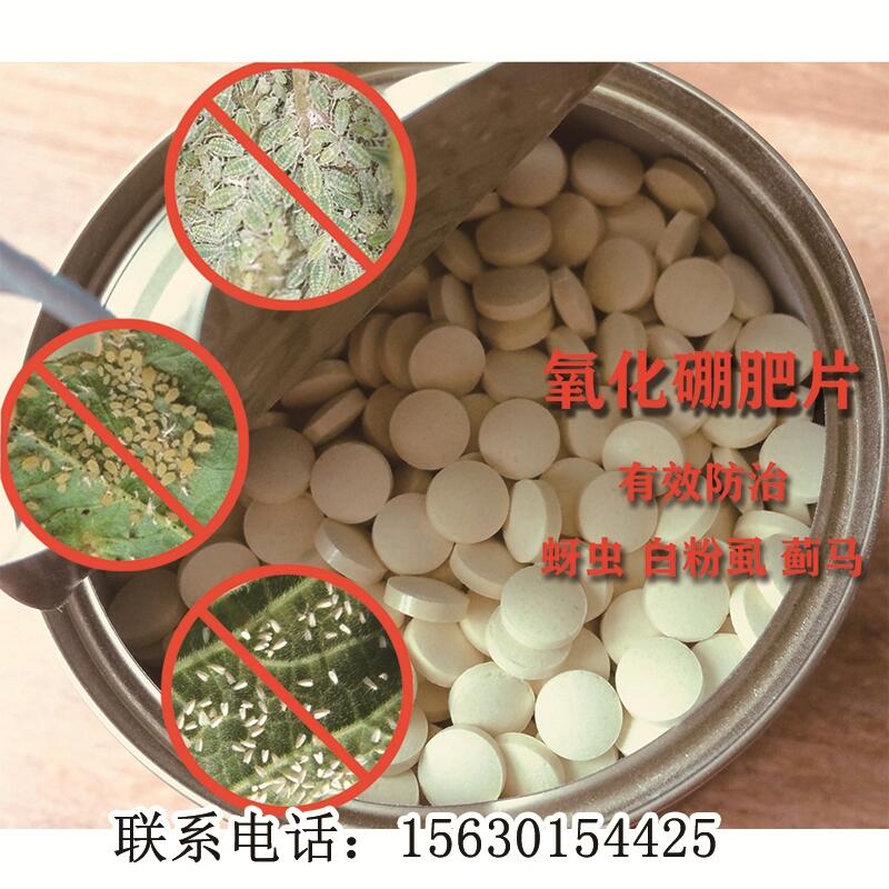 1000片/瓶高抗蚜蟲蚜虱片批發(fā)價(jià)格