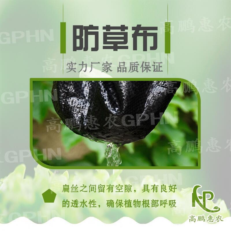 果苗防草布多少錢一平