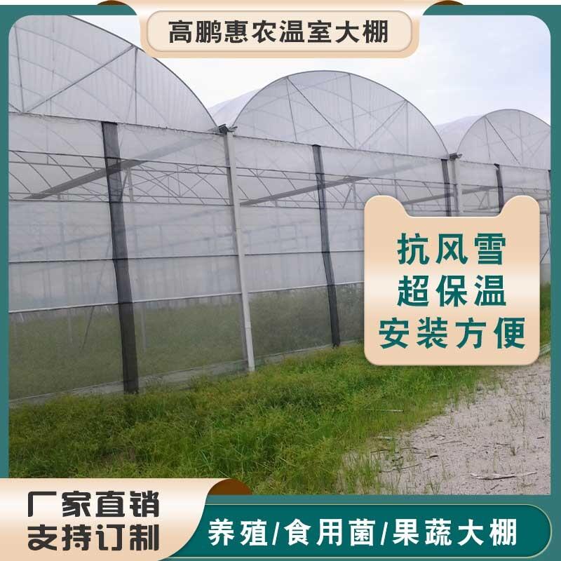 唐山樂亭縣多肉種植大棚工程