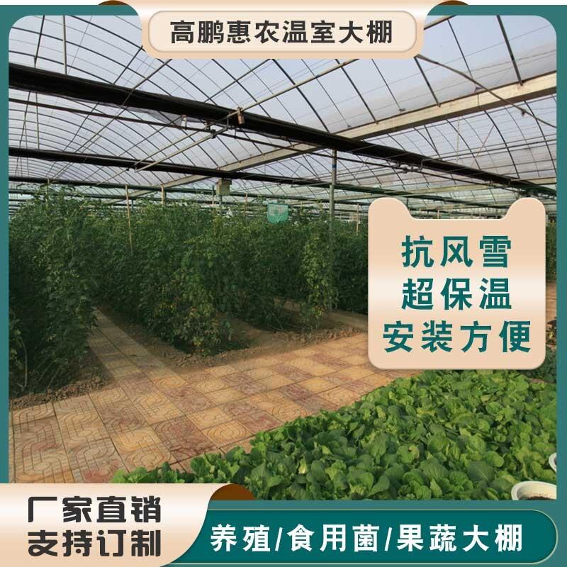 連云港東?？h香蕉大棚骨架棚膜配件