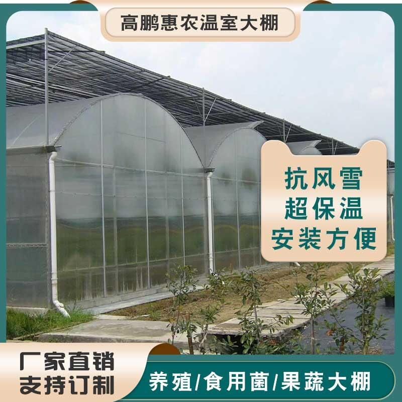 上海靜安區(qū)多肉種植大棚工程