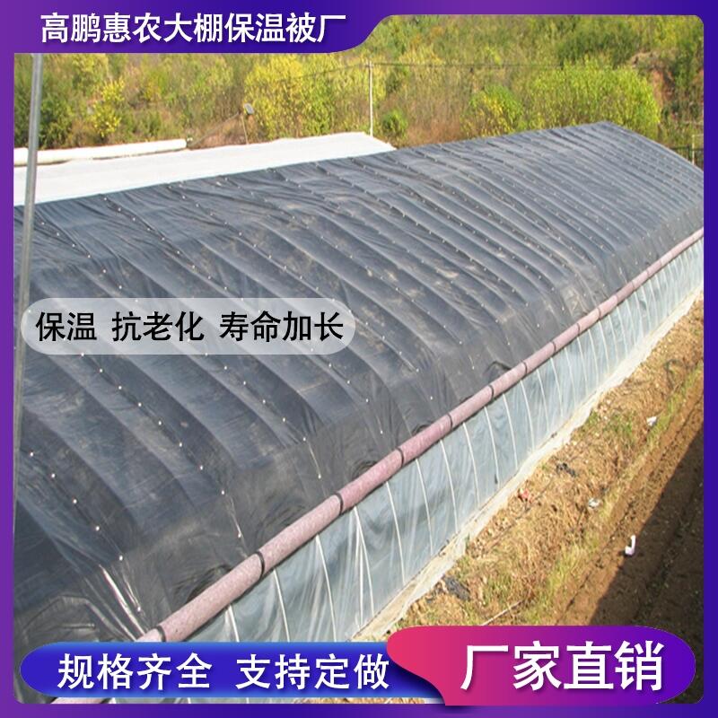 灌南縣食用菌大棚棉被公司電話_高鵬惠農(nóng)建圓拱型連棟溫室價格表