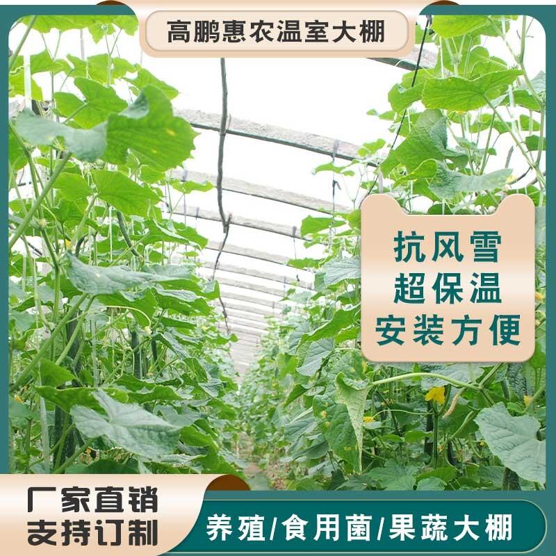 鄭州滎陽市真鯛水產薄膜大棚