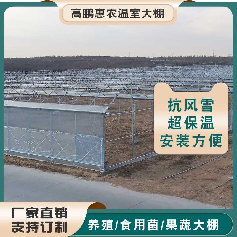 鄭州新密市石斑魚水產薄膜大棚