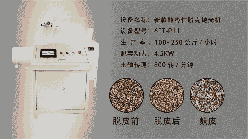 酸棗仁脫殼機(jī) 酸棗仁扒皮機(jī) 酸棗仁脫皮拋光機(jī)