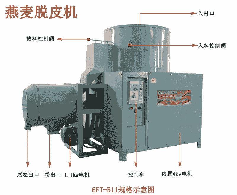 新款酸棗仁脫皮拋光機設 酸棗仁去皮扒皮機設備