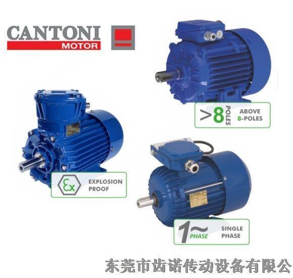 CANTONI進(jìn)口電機(jī)